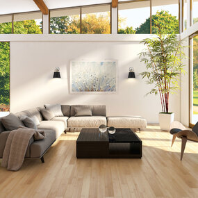Z-Studio Wall Sonce by Z-Lite