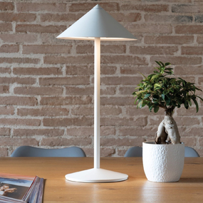 Pina L Portable Lamp