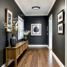 Slim Ceiling Flush Light by Access