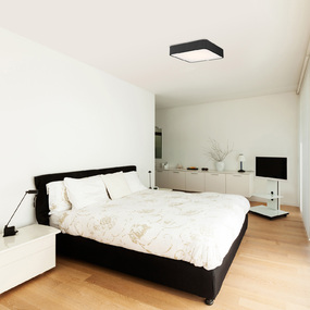 Granada Color-Select Ceiling Light by Access