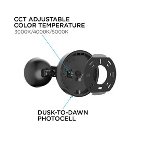 Daniel Color-Select Outdoor Wall Light