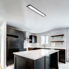 Delgado Color-Select Ceiling Flush Light