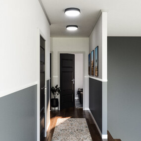 Laval Wall / Ceiling Light