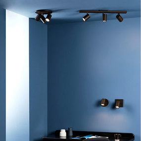 Ascoli Single Wall / Ceiling Spot Light