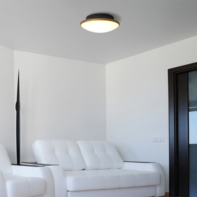 Silk Ceiling Light Fixture