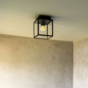 Caged Wet Wall / Ceiling Light