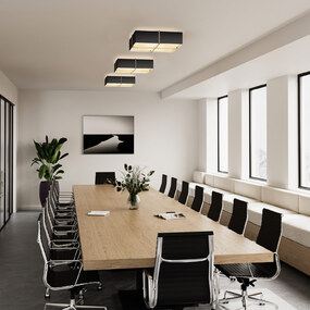 Veram Ceiling Flush Light