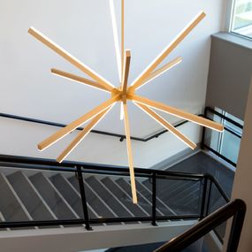 Sirius Chandelier
