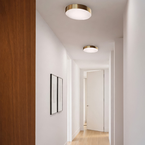 Discus Ceiling Light