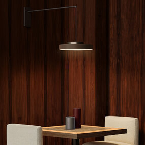 Discus Swing Arm Wall Sconce