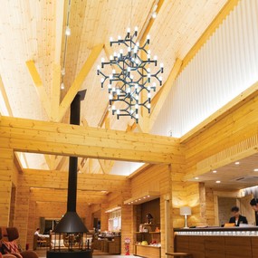 Crown Summa Pendant by Nemo by Nemo