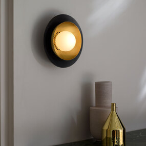 Carapace Wall / Ceiling Light