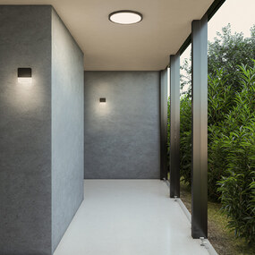 Delta Color Select Round Outdoor Wall / Ceiling Light by DALS Lighting