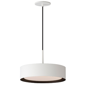 Echo Color-Select Pendant