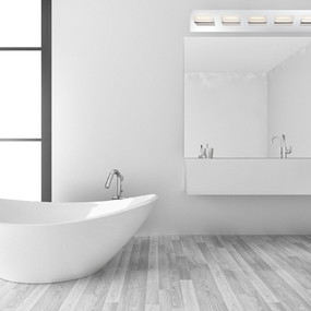 Olson LED Bathroom Vanity Light by Eurofase