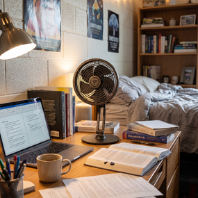 Flex Portable Desk Fan by Fanimation