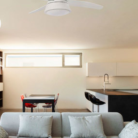 Wind Ceiling Fan with Light