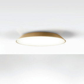 Febe Wall / Ceiling Light