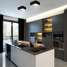 Single Ceiling Light