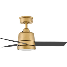 Chet Outdoor Ceiling Fan with Light