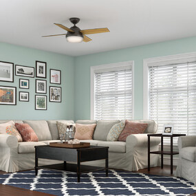 Dempsey Ceiling Fan with Light by Hunter Fan