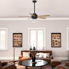 Margo Ceiling Fan with Light by Hunter Fan