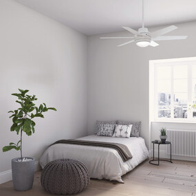 Sotto Ceiling Fan with Light