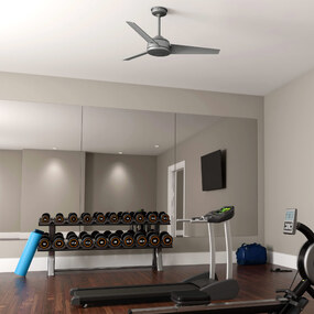 Trimaran Outdoor Ceiling Fan by Hunter Fan