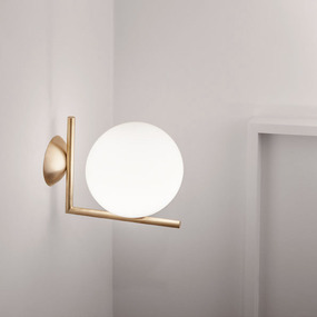 IC Wall / Ceiling Light