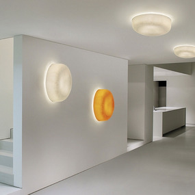 Ola Fly Wall / Ceiling Light Fixture