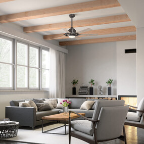 Iras Ceiling Fan with Light by Kichler