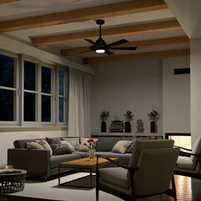 Iras Ceiling Fan with Light