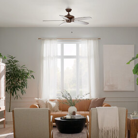 Renew Ceiling Fan