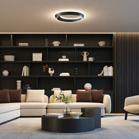 Tidal Ceiling Light