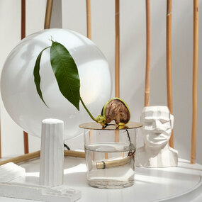 Floating Forest Disc