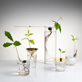 Floating Forest Mobile