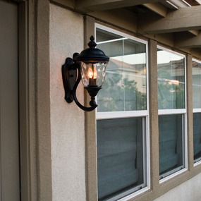 Carriage House VX Outdoor Wall Light