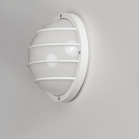 Bulwark Circle Outdoor Wall Sconce