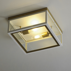Neoclass Outdoor Ceiling Flush Light