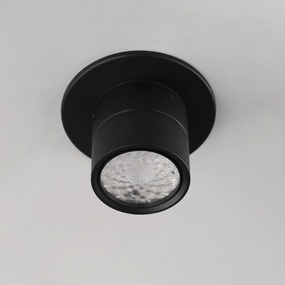 Swinger Ceiling Spot Light