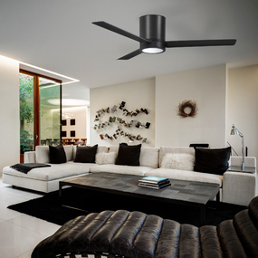 Roto Flush Ceiling Fan with Light