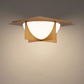 Echelon Wall / Ceiling Light