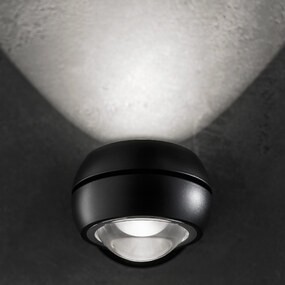 Nautilus Mini Wall Sconce