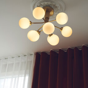 Apiales Ceiling Light