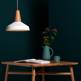 Eikon Circus Pendant by Schneid by Schneid