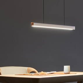 Mumu Linear Pendant by Seed Design