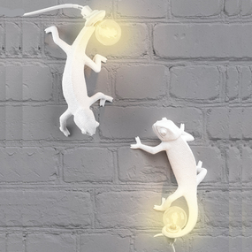 Chameleon Plug in Wall Sconce