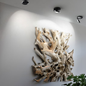 Nautilus Ceiling Light by LODES