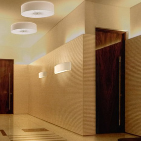 Skin Flush Mount Ceiling Light