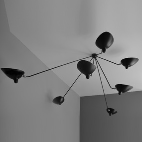 Spider Fixed Chandelier / Ceiling Light